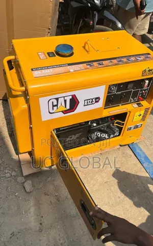 Cat Soundproof Diesel Generator