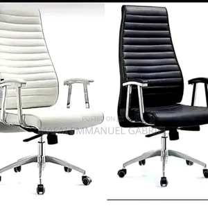 Executive Director Chair