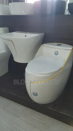 White+Gold Line Water Closet With Wall Hung Basin