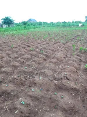 Half Plot of Land