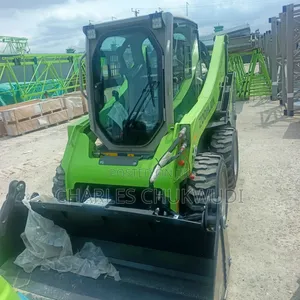 Zoom Lion Bobcat Brand New