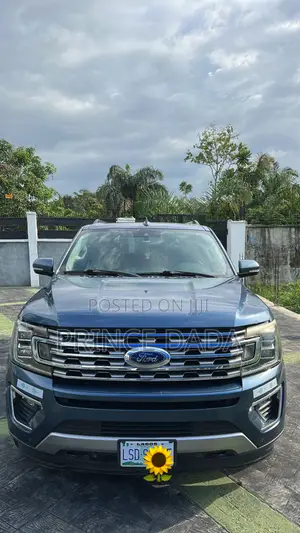Ford Expedition XLT 4x4 2019 Blue