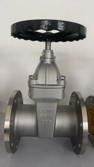 Stainless Gate Valve Dn100