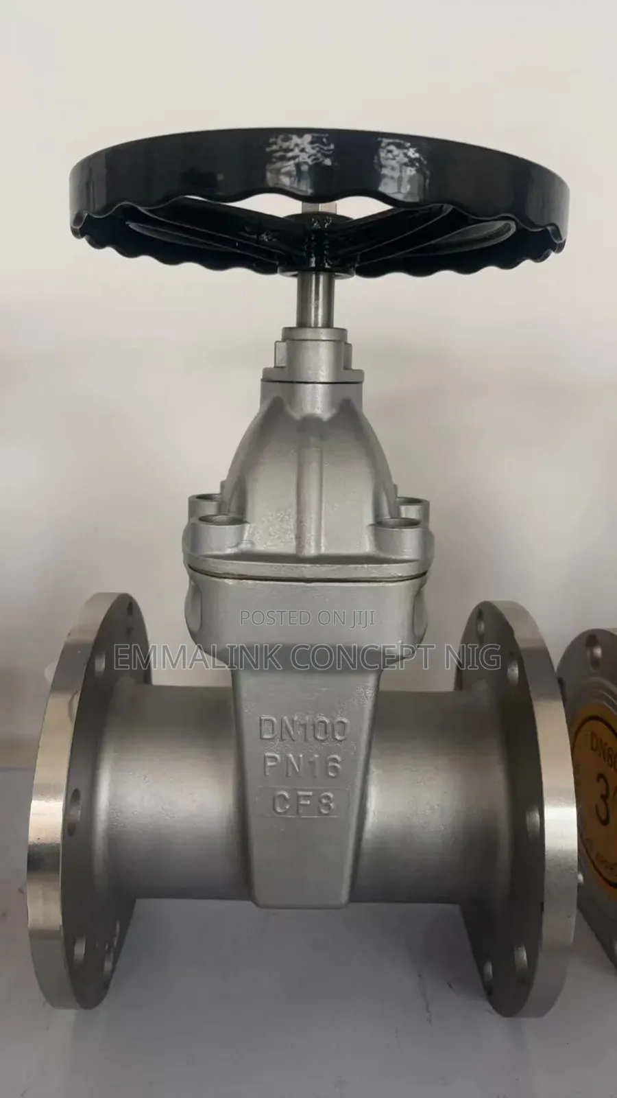 Stainless Gate Valve Dn100