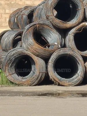 Carbon Steel Wire Rod For Nail Manufacturing (Nous Parlons Français)