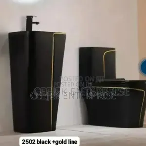 Luxury Black Water Closet With Wall Hung Basin