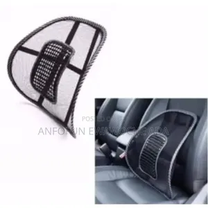 Office Chair/Car Seat Back Support