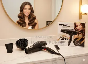 Maxi 5 Inl Professional Hair Dryer