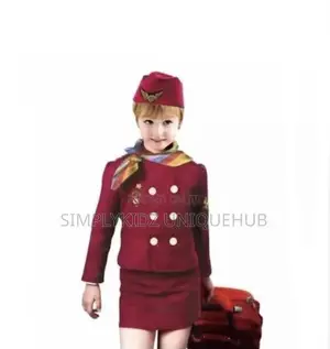 Air Hostess Flight Attendant Career Day Costume