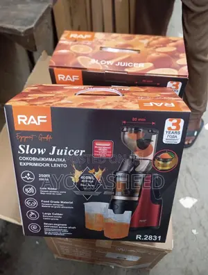 Slow Juicer