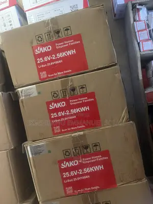 2.5kwh Lithium Ion Battery Sako Much Available