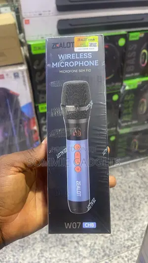 Zealot Wireless Microphone W07