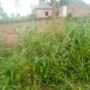 Buy This Gorgeous Bare 100 X 400ft (1-Acre ) Land.
