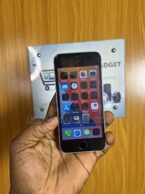 Apple iPhone SE 64 GB Gray