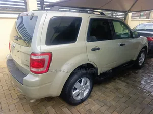 Ford Escape 2010 Beige