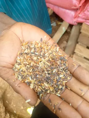 Dog Brown Rice