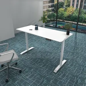 Electric Sit-Stand Table