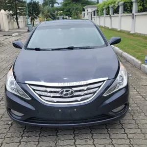 Hyundai Sonata 2012 Gray