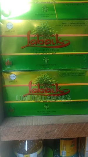 Labaik Indonesia