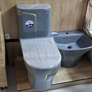 d'Angelo Luxury Grey and Gold Ceramic Wc With Wash Hand Basin