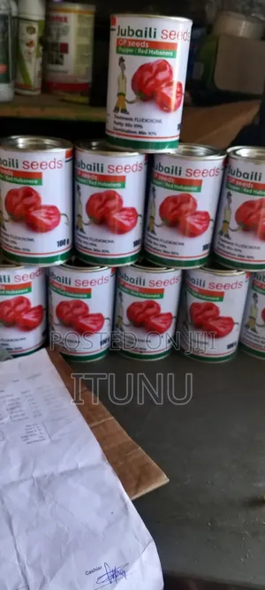 Habanero Pepper Seeds (Red Rodo) 25g, 100g
