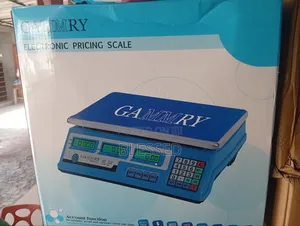 Electronic Pricing Scale 40kg