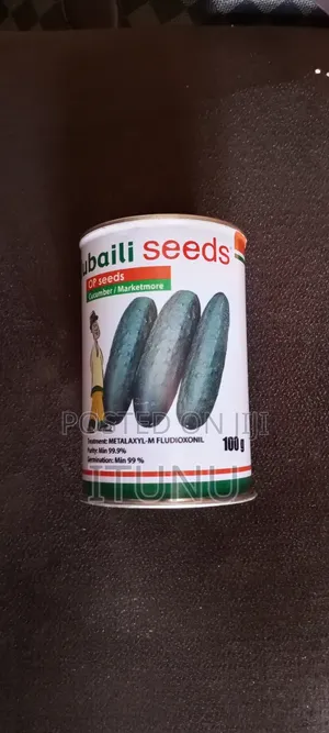 Cucumber Marketmore 100g