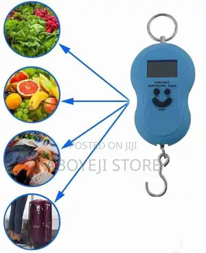 Weiheng Portable Electronic Scale