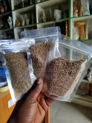 Cumin Seeds
