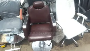 Quality Standard Salon Chair