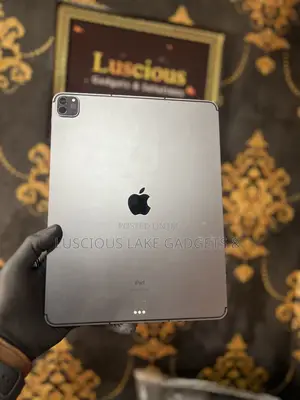 Apple iPad Pro 256 GB Gray