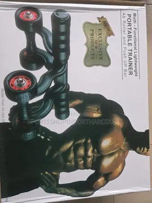 Ab Roller and Push Up Bar