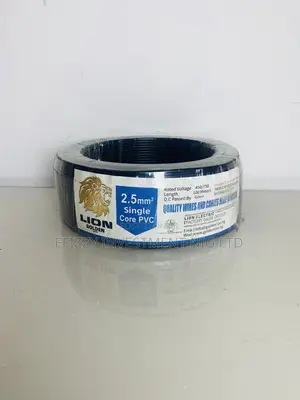 Lion Golden Electric 2.5mm Single Core Pvc ( Black ) Efy090