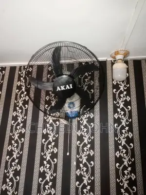 Wall Mounted Fans