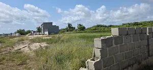 Government Allocation Land