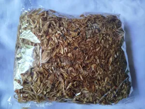 Oron Crayfish
