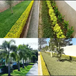 Flowering and Landscape