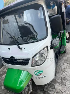 New Tricycle 2025 White