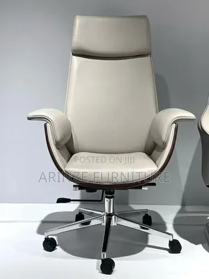 Executive Fashion Chair