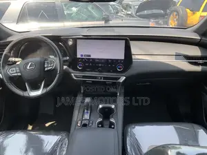 Lexus RX 2024 Gray