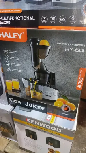 Hayley Slow Juicer