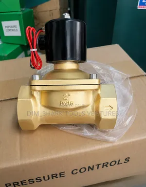2-inch Ac 220v Solenoid Brass Valve(Use To Control Water, Air, Oil)