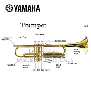 Yamaha Trumpet (Gold Silver Finish)