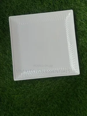 24pcs Breakable Plate
