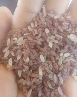 Ofada Rice 50kg