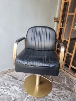 Salon Chair