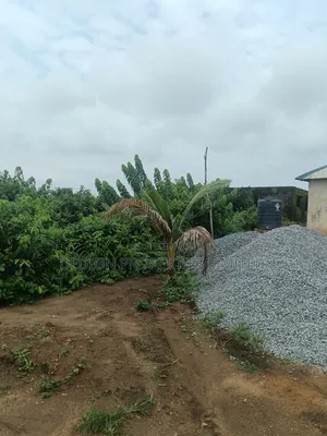 Odegiri Land With Deed of Assignment and Survey