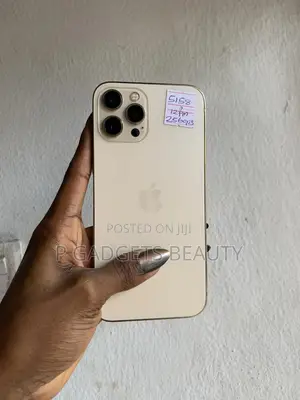 Apple iPhone 12 Pro Max 256 GB
