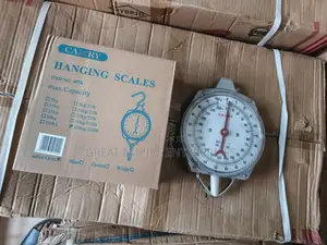 100kg Camry Manual Hanging Scale