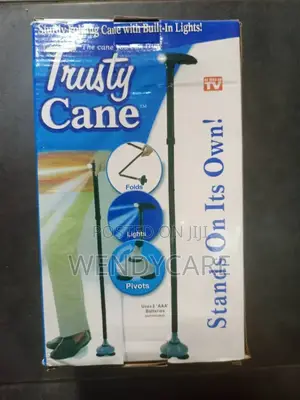 Trusty Cane Walking Stick
